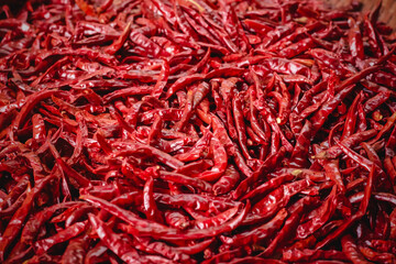 Fototapeta premium Dried hot chillis background. Close up of dried red chili. 