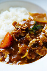 Beef Vegetable Curry in a Bowl