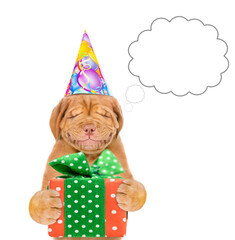 Dreaming puppy wearing party cap holds gift box. isolated on white background