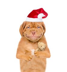 Smiling puppy wearing red  christmas hat hugs favorite toy bear. isolated on white background