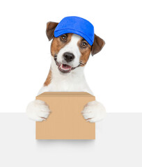 Jack russell terrier puppy wearing blue cap holds big box above empty white banner. isolated on white background