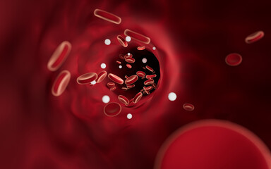 Red and white blood cells in blood vessels, 3d rendering.