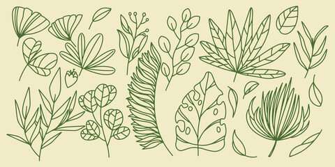Fifteen Hand drawing set floral botanical fern forest elements with elegant leaves for invitation save the date card design. Botanic rustic trendy greenery.