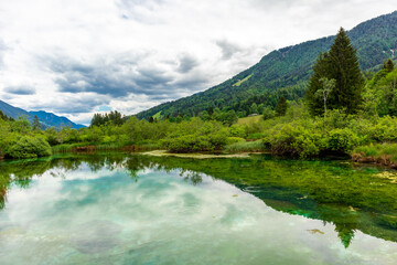 Fototapeta na wymiar Entdeckungstour durch das wunderschöne Naturreservat Zelenci - Kranjska Gora - Slowenien