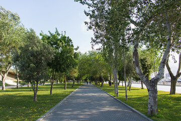 Fototapeta na wymiar Azerbaijan Baku, Summer view of boulevard next to Caspian Sea