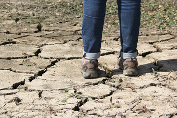 Droughts are caused by climate change, the lack of rain, which produces water scarcity. World Water Day is celebrated every March 22 to remember the relevance of this essential liquid. 