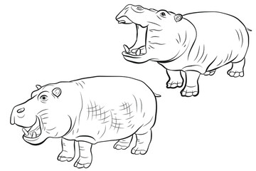 In the animal world. An image of an African hippo. Black and white, linear drawing, coloring. Vector drawing.
