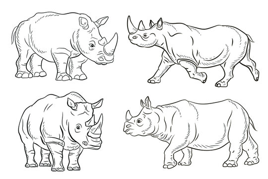 In the animal world. Coloring book for kids, big and terrible rhino.
Vector image. Black and white, linear drawing, background, design.