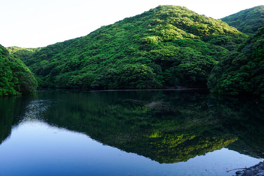 river head image