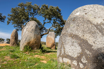 cromlech Vale Maria do Meio , Nossa Senhora da Graça do Divor ,Évora, Alentejo, Portugal © Tolo