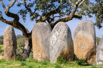 cromlech Vale Maria do Meio , Nossa Senhora da Graça do Divor ,Évora, Alentejo, Portugal © Tolo