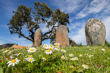 cromlech Vale Maria do Meio , Nossa Senhora da Graça do Divor ,Évora, Alentejo, Portugal © Tolo