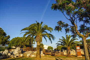 poblado talayotico de S´Illot, 1100 a.C., Son Servera,Mallorca, islas baleares, Spain