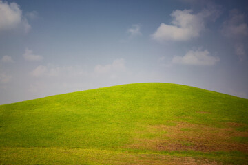 Summer green field and clouds on the sky, rural beautiful landscape
