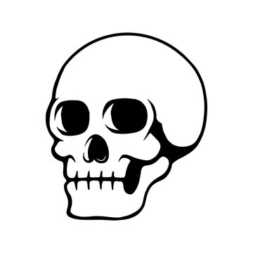 Illustration of human skull in monochrome style. Design element for poster, card, banner, emblem, sign. Vector illustration