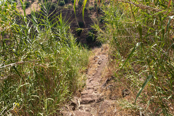 Path  leading uphill in the Black Gorge on the banks of the Zavitan stream in the Golan Heights, near to Qatsrin, northern Israel