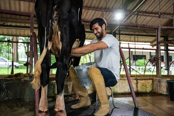 Caucasian young professional man dairy farmer milk the cow in cowshed. 