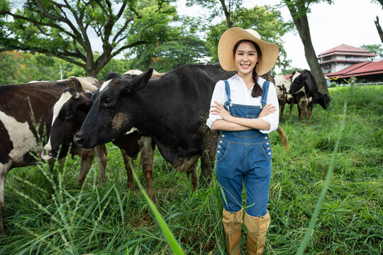 Portrait of Attractive Asian dairy farmer woman work outdoor in farm.