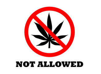 Drugs not allowed