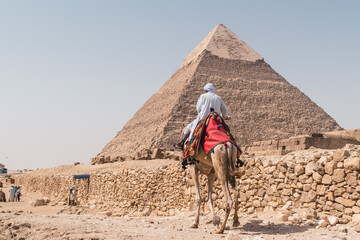 Egyptian nomad riding a dromedary walking to the pyramid in Egypt