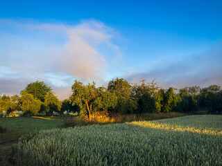 Fototapete bei efototapeten.de bestellen   