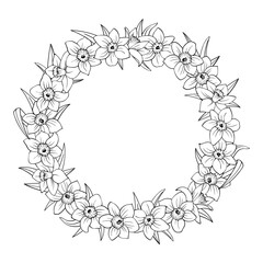 Wreath or round shape frame of narcissus flowers isolated on white. Daffodils outline hand drawn sketch, buds and leaves. Vector decorative element for floral design, wedding or greeting card.