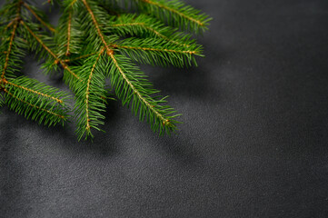 Christmas decoration black background with green fir branches in upper right corner