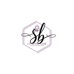 SB signature logo template vector