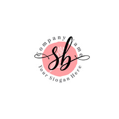 SB signature logo template vector