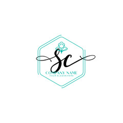 SC signature logo template vector