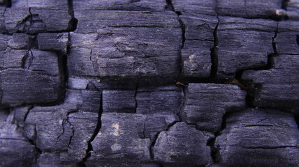 Coal