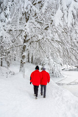 Snow winter in Fusine. Magic of the lower lake.