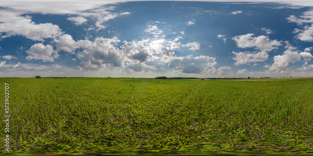 Wall mural full seamless 360 hdri panorama view among farming fields with sun and clouds in overcast sky in equ