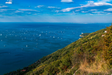 Barcolana. Largest regatta in the world. Trieste