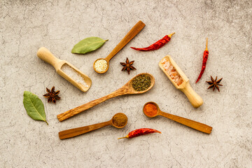 Powdered spices and herbs in wooden spoons. Colorful cooking background
