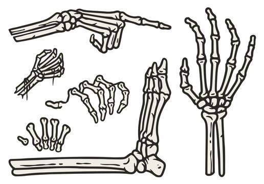 Skeleton Hand Images – Browse 125,412 Stock Photos, Vectors, and Video