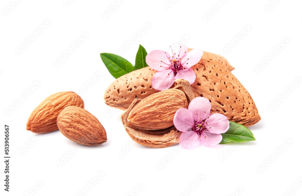 Wall mural Almonds nuts with pink flowers