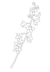 Sketch Floral. Black and white with line art on white backgrounds.Vector illustration.