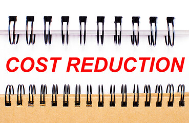 Text COST REDUCTION on white paper between white and brown spiral notepads.