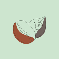 Coffee bean single line illustration. Green and black lines. One line art