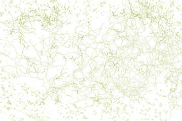 abstract green background