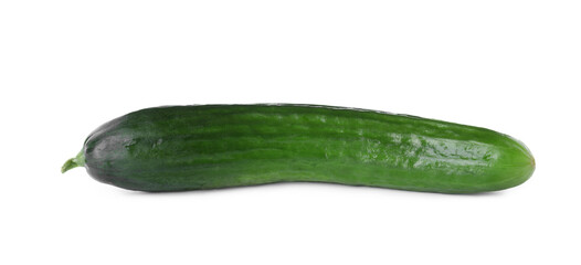 Whole fresh green cucumber isolated on white