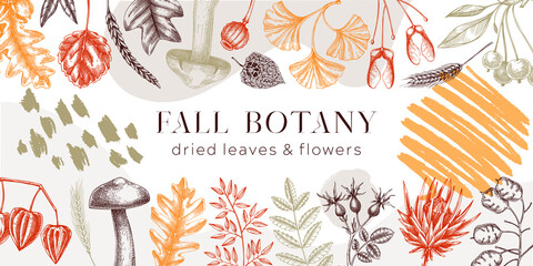 Autumn banner with fallen leaves and dried flowers. Thanksgiving background. Collage style fall background. Sketched dried herbs, falling leaves, mushrooms, seeds illustration.