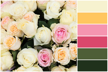Color palette and many beautiful roses as background, top view. Collage