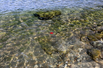 Rocky shore of the Mediterranean Sea in northern Israel.