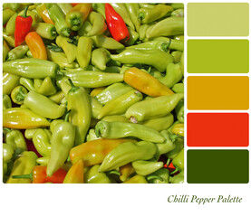 Chilli pepper background in a colour palette with complimentary colour swatches. 