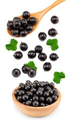 black currant falling into a wooden bowl isolated on white background. clipping path