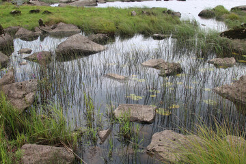lough gar