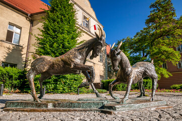 Goats on the square in Poznan, Greater Poland Voivodeship, Poland.