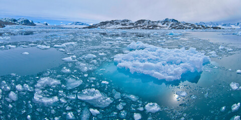 Drift floating Ice and Snowcapped Mountains, Iceberg, Ice Floes, Albert I Land, Arctic,...
